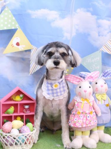 20240322パピコくん